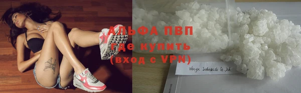 СК Арсеньев