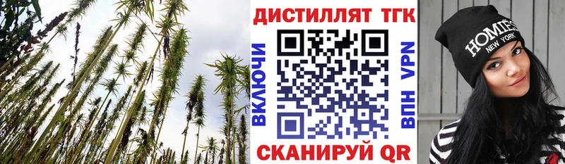 как найти наркотики Тетюши Дистиллят ТГК жижа