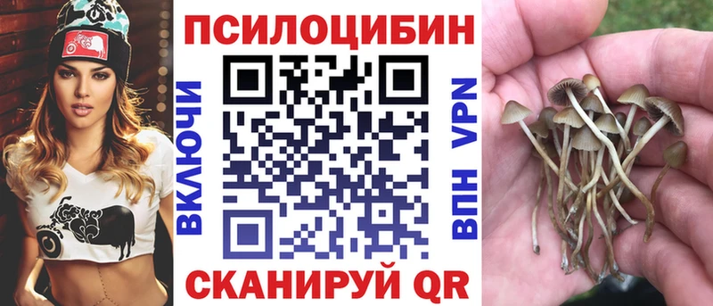 мега зеркало  Тетюши  даркнет как зайти  Галлюциногенные грибы MAGIC MUSHROOMS 
